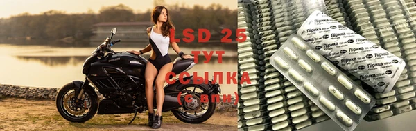 мяу мяу мука Кинешма
