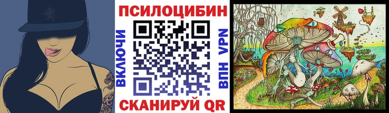 продажа наркотиков  Костерёво  маркетплейс как зайти  Псилоцибиновые грибы ЛСД 